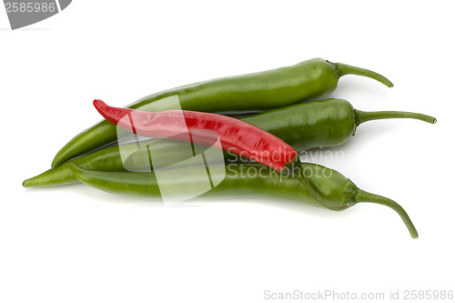 Image of Chili pepper isolated on white background