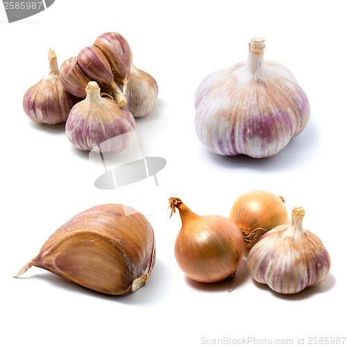 Image of garlic and onion isolated on white