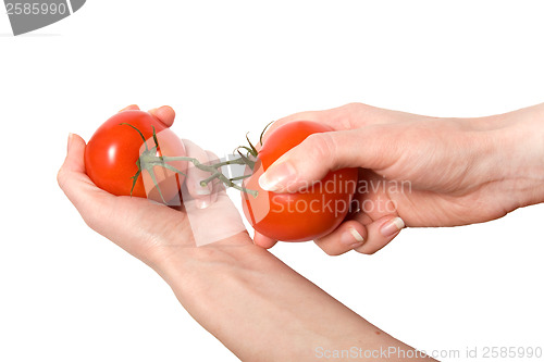 Image of hands breaking fasten tomato isolated on white background 