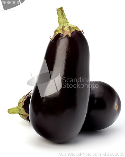 Image of eggplants isolated on white background close up