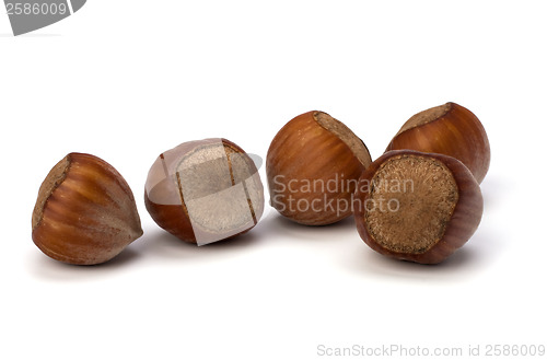 Image of hazelnuts isolated on white background