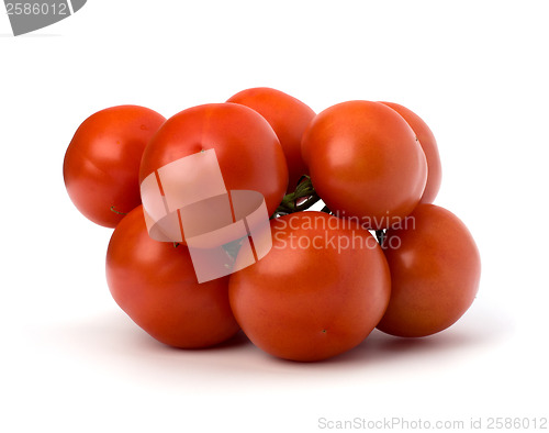 Image of red tomato isolated on the white background 