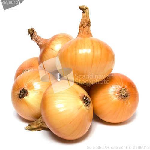 Image of onion isolated on white background