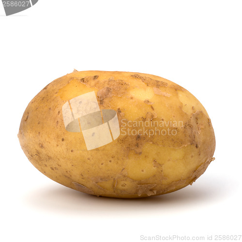 Image of potato