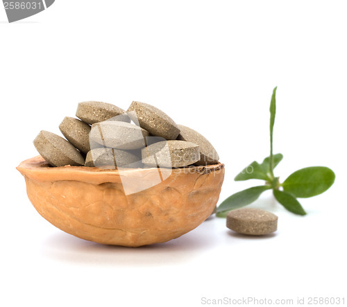 Image of herbal pills