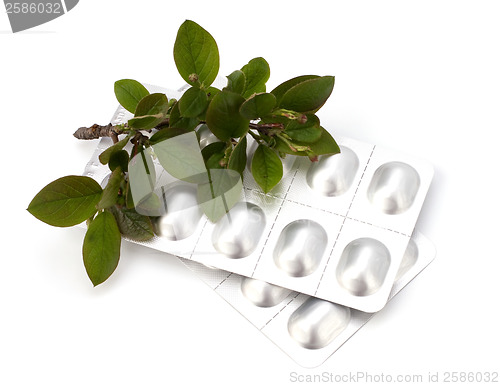 Image of herbal medicine isolated on white background 
