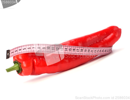 Image of sexy pepper isolated on white background