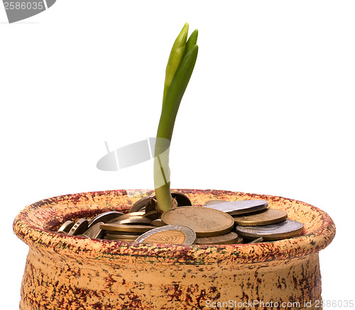 Image of Money pot.  Business concept