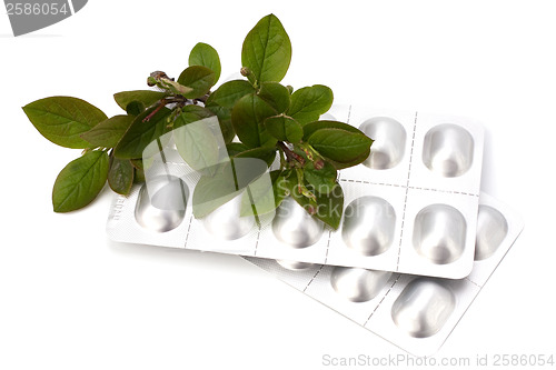 Image of herbal medicine isolated on white background 