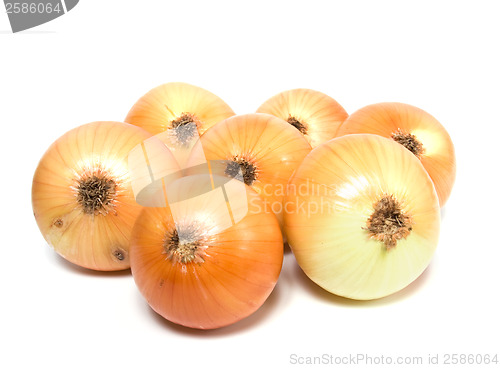 Image of onion isolated on white background