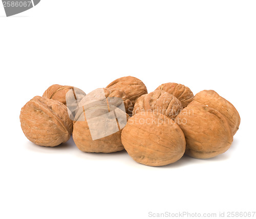 Image of walnuts isolated on white background 