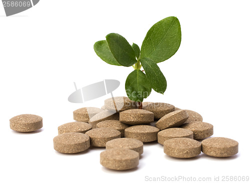 Image of herbal pills