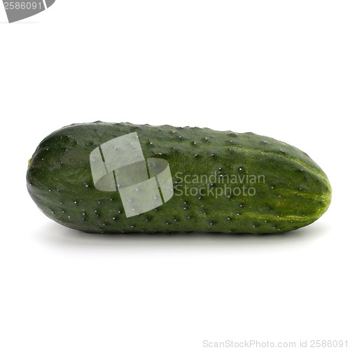 Image of cucumber