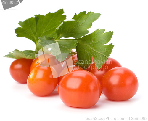 Image of Cherry tomato isolated on white background