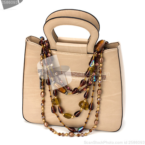 Image of Luxury female handbag isolated on white background 
