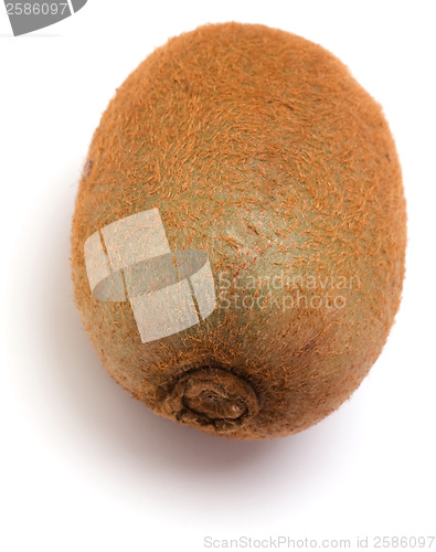 Image of kiwi fruit isolated on white background