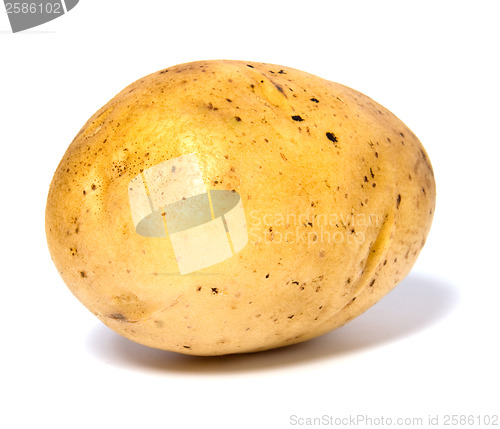 Image of potato isolated on white background