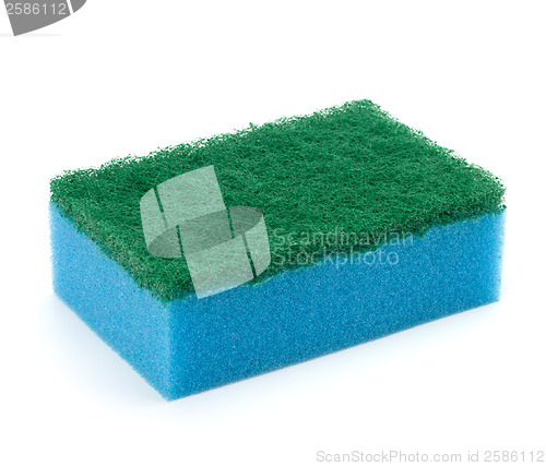 Image of sponge
