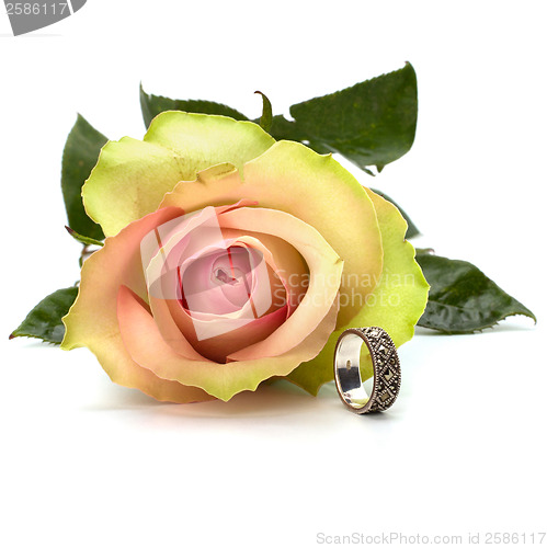 Image of Beautiful rose with wedding ring  isolated on white background 