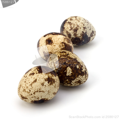 Image of quail eggs