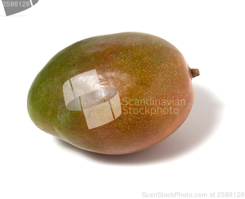 Image of single mango isolated on white background