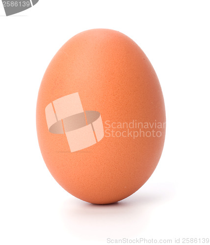 Image of egg isolated on white