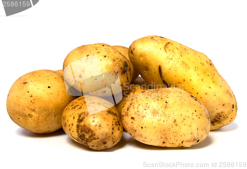 Image of potatoes isolated on white background