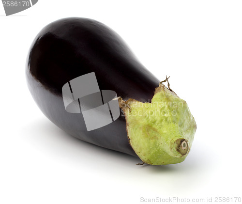 Image of eggplant