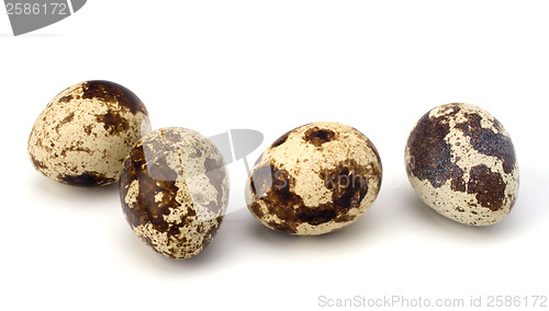 Image of quail eggs