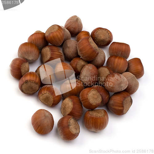 Image of hazelnuts isolated on white background