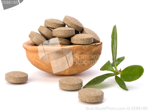 Image of herbal pills