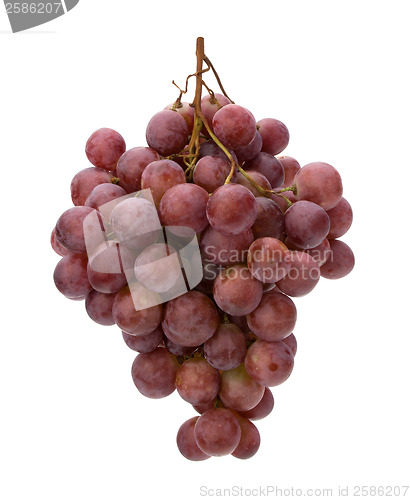 Image of red grape 