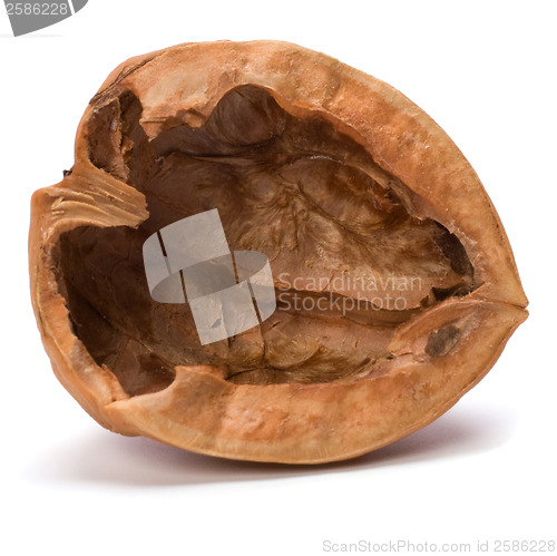 Image of walnut shell