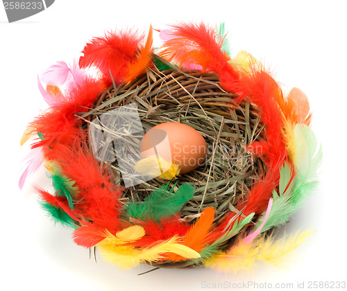 Image of easter egg in nest isolated on white background