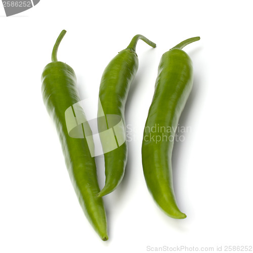 Image of Chili pepper isolated on white background