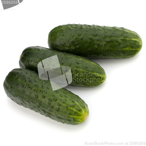 Image of cucumber