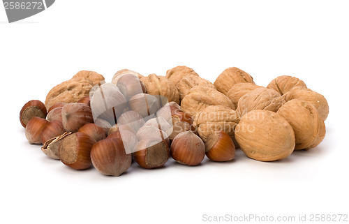 Image of nuts isolated on white background 