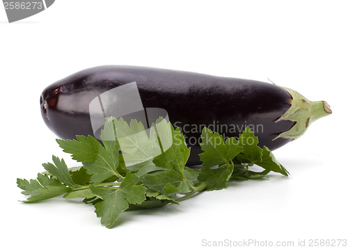 Image of Eggplant isolated on white background