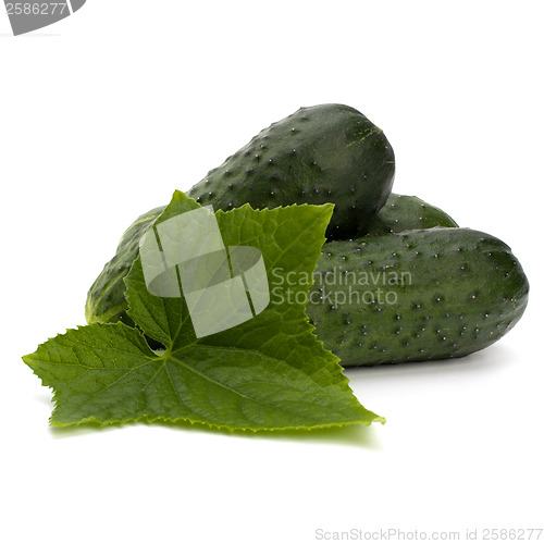 Image of cucumber