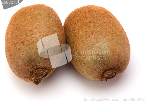 Image of kiwi fruit isolated on white background