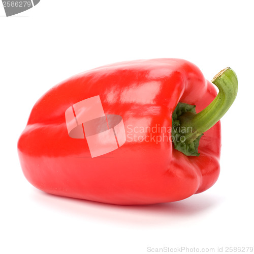 Image of sweet pepper isolated on white background 