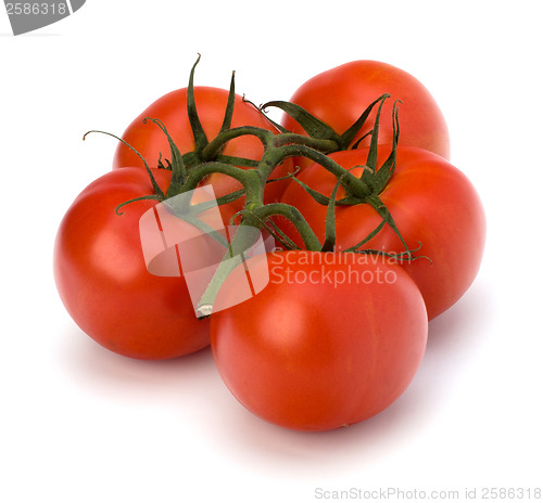 Image of red tomato isolated on the white background 