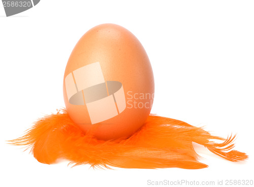 Image of Egg and feather isolated on white background. Easter decor.