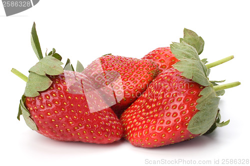 Image of Strawberries isolated on white background