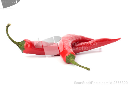 Image of Chili pepper isolated on white background