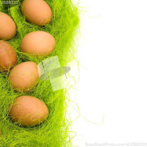 Image of eggs border 