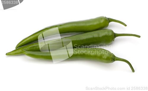 Image of Chili pepper isolated on white background