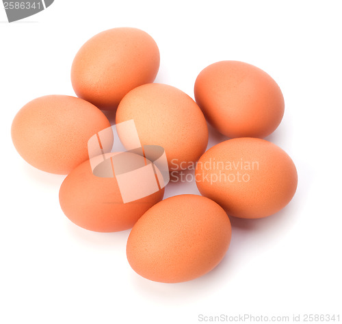 Image of eggs isolated on white background