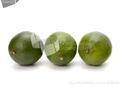 Image of Lime 