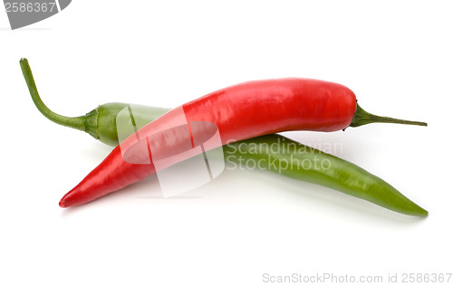 Image of Chili pepper isolated on white background